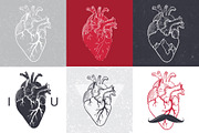 Anatomical hearts & quotes, a Texture Illustration by Librebird (Thumbnail 4 of 8)