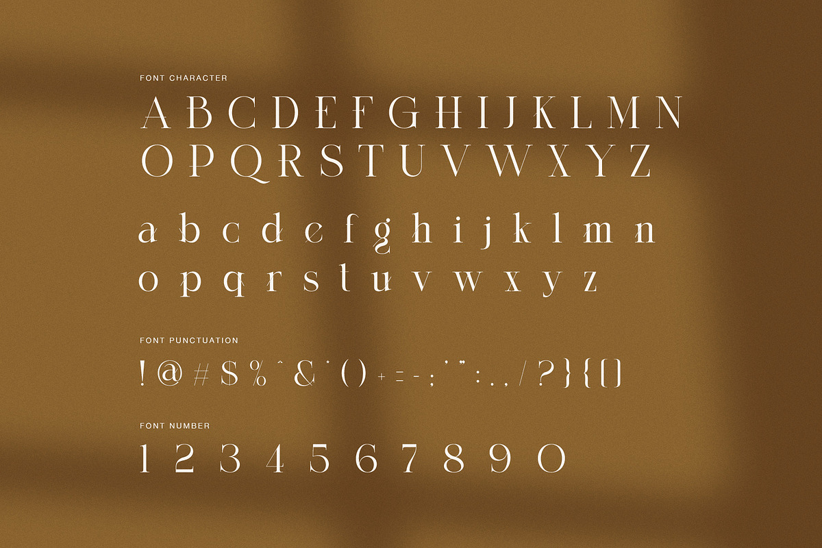 Secor Elegant Serif Font, a Serif Font by Perfectype (Photo 8 of 8)