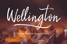 Wellington Script Font