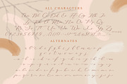 Mood Board script font, a Serif Font by Anna Zakharchenko (Thumbnail 16 of 23)