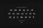 Melgin Elegant Modern Serif Font, a Serif Font by Graphicxell (Thumbnail 8 of 8)