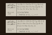 Nailong Lifemore, a Serif Font by AnayaStudio (Thumbnail 9 of 10)