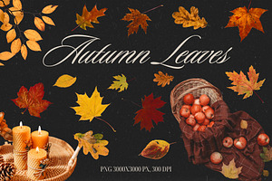 Autumn Leaves PNG