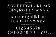 Radeyn | Modern Classy Logo Font, a Serif Font by Sealoung (Thumbnail 8 of 8)