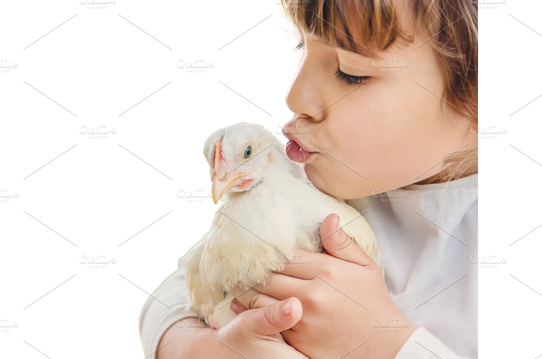 Bio chickens on a home farm a, an Animal Photo by yanadjana