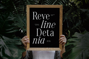 Reveline Detania - Elegant Serif