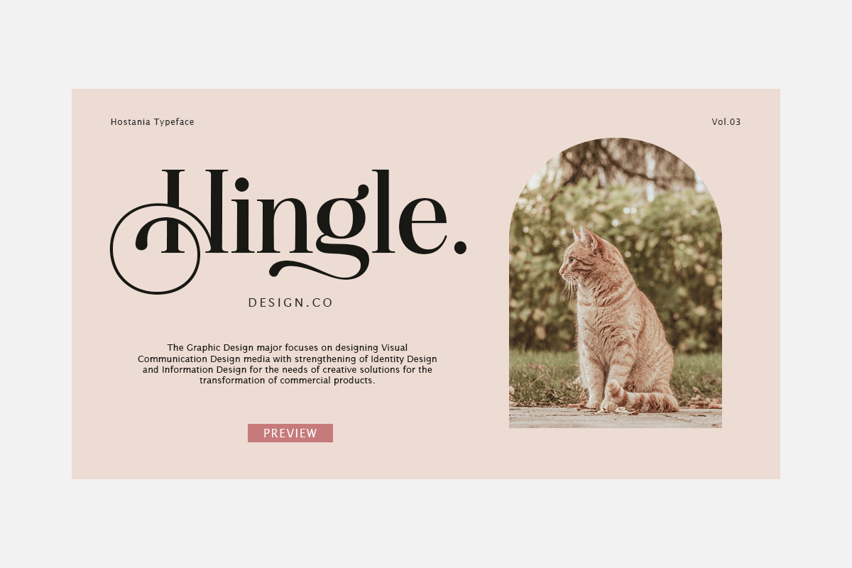 Hostania, a Serif Font by Attract Studio (Photo 8 of 12)
