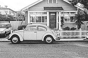 Black and White Photoshop Action, an Action Add-On by Grishka89 (Thumbnail 11 of 11)