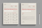 Clean and Minimalist Resume Template, a Resume Template by MightyDesign (Thumbnail 1 of 8)