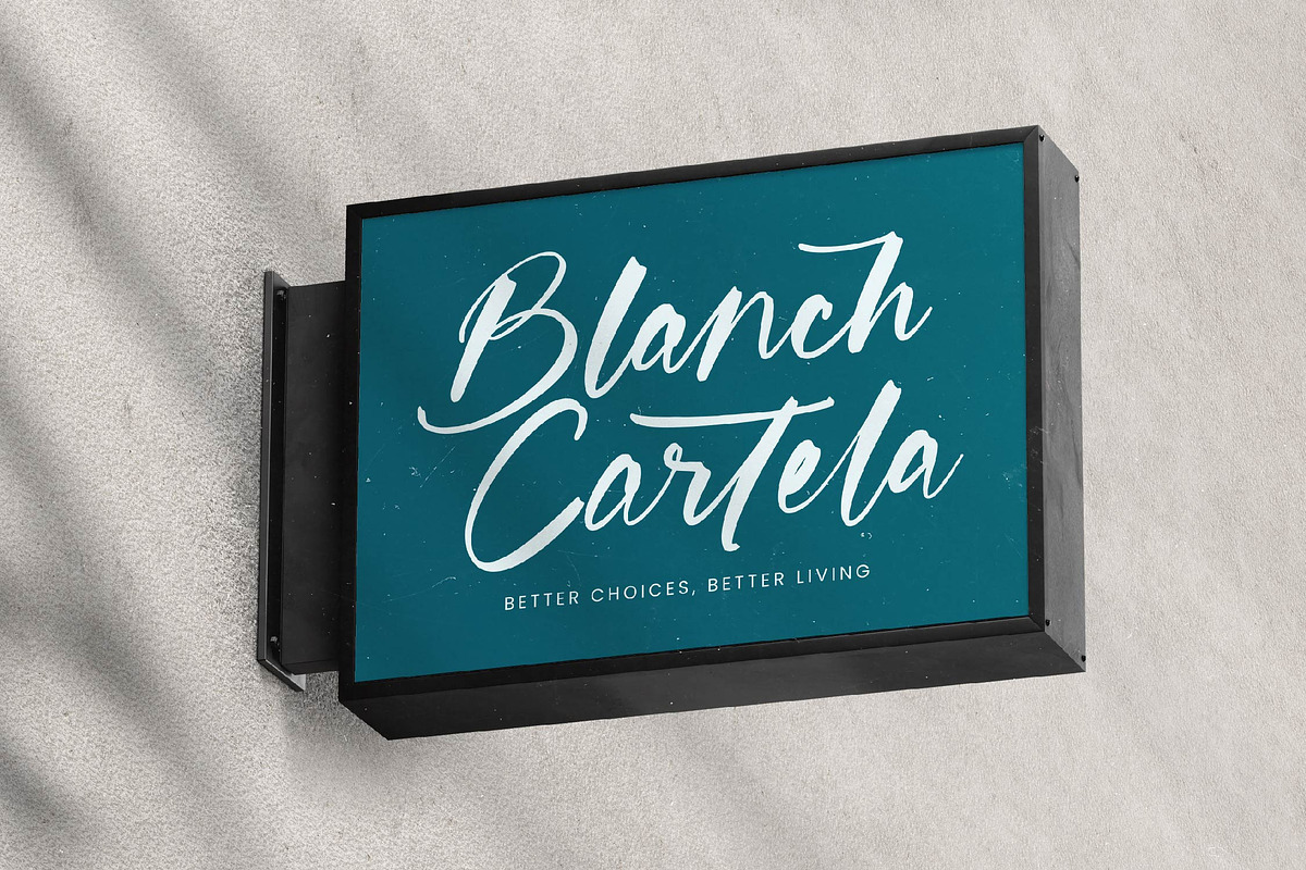 Whitela Akuatic - Bold Brush Font, a Script Font by stylishtype.co (Photo 17 of 20)