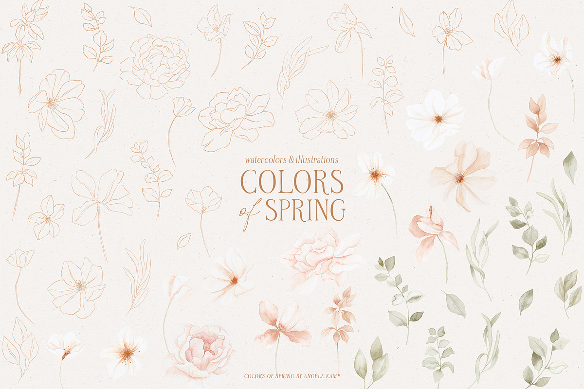 Colors of Spring watercolor flowers, an Illustration by Angele Kamp (Photo 10 of 11)