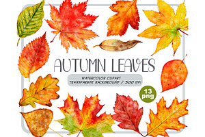 Watercolor autumn leaves clipart