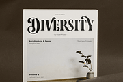 Vintageria Elegance, a Serif Font by Get Studio (Thumbnail 9 of 17)