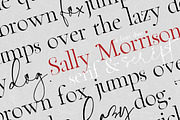 Sally Morrison Script & Serif, a Script Font by BlueRobinDesignShop (Thumbnail 20 of 22)