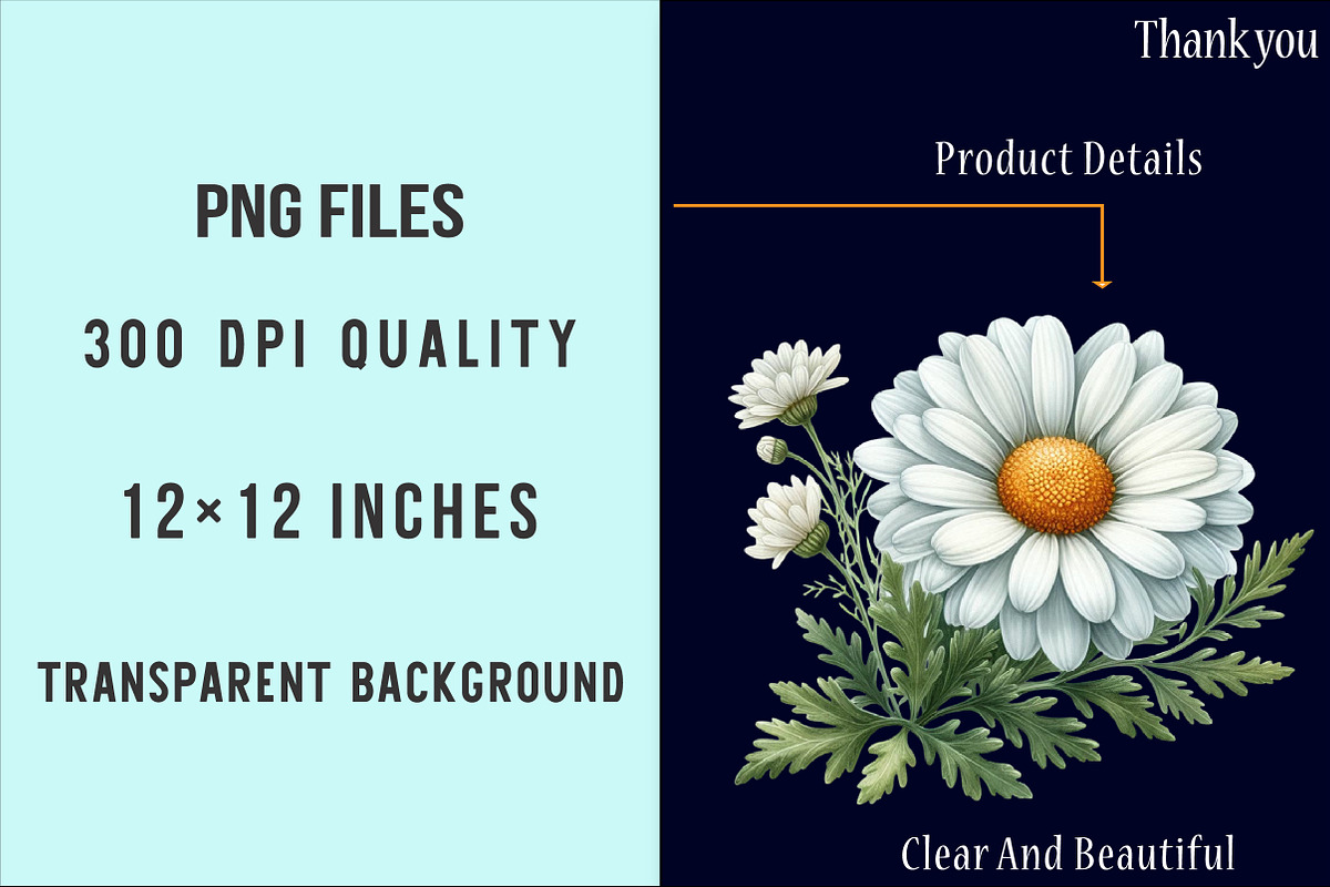 Watercolor Floral Clipart Bundle, an Illustration by SinaCreation (Photo 4 of 5)