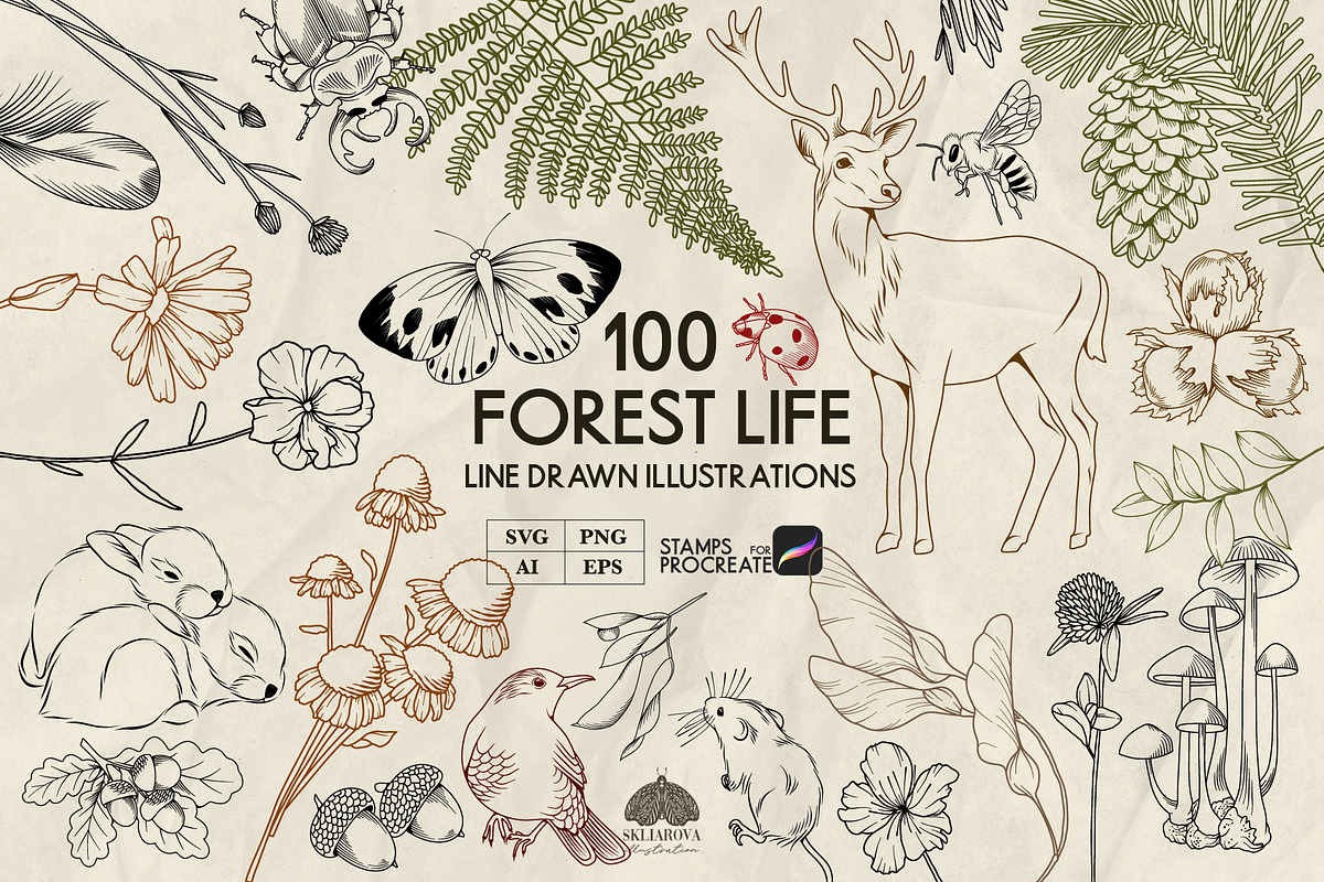 Forest Life Line Art + Procreate, an Object Illustration by Skliarova (Photo 1 of 6)