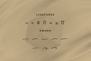 Sauxlle, a Script Font by Integritype Studio (Thumbnail 11 of 15)