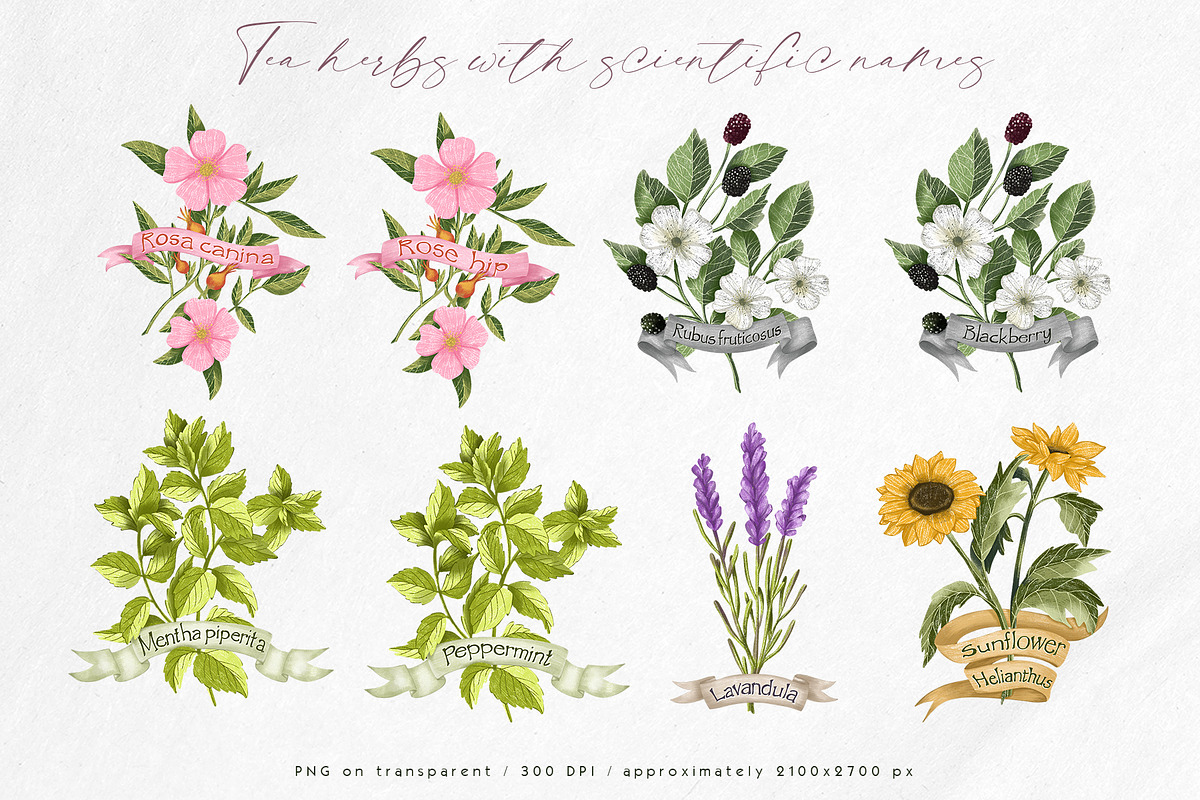 Tea time at the garden clipart set, a Decorative Illustration by Yelloo Fish (Photo 6 of 16)