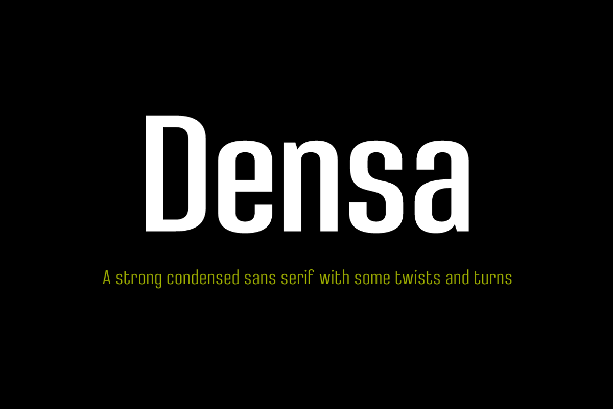 Densa Font Family, a Sans Serif Font by Graviton Font Foundry (Photo 1 of 6)