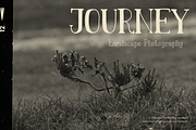 Fiore Dilona | Hand Drawn Vintage, a Font by Denustudios (Thumbnail 7 of 15)