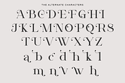Saevul, a Serif Font by Sealoung (Thumbnail 14 of 15)