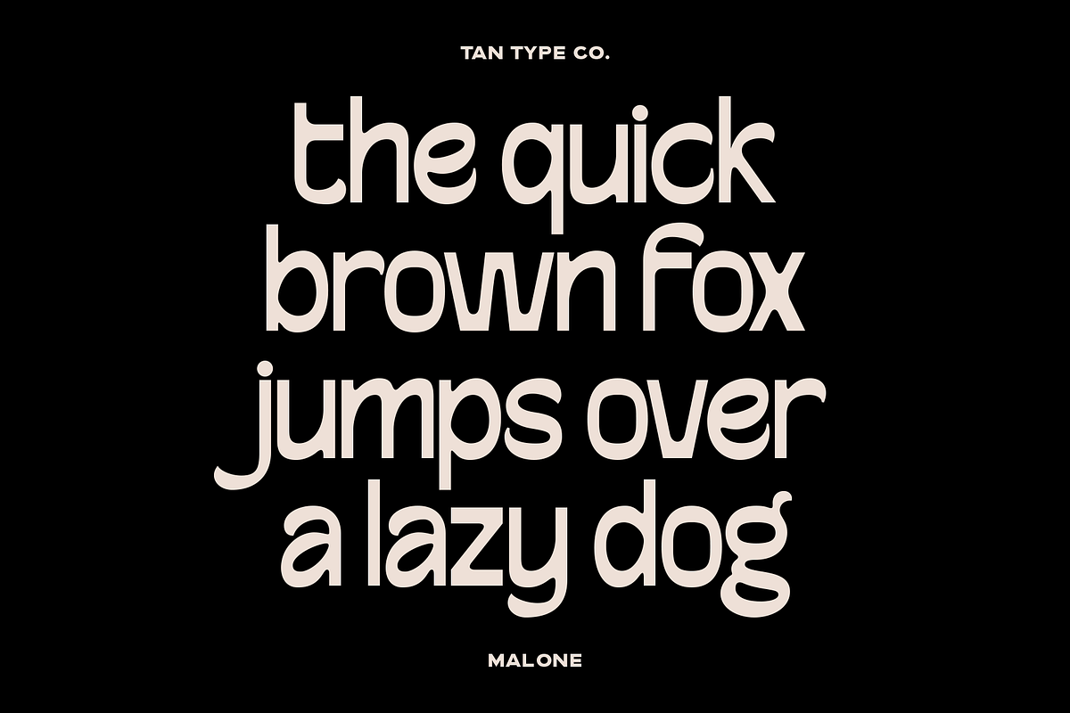 TAN-MALONE, a Sans Serif Font by TanType (Photo 11 of 11)