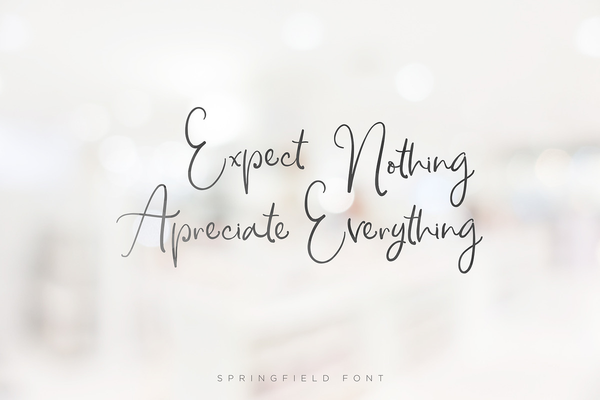 Springfield Font Duo preview 7