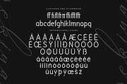 Rekiya Modern Serif Display Font, a Serif Font by Storytype Studio (Thumbnail 12 of 15)