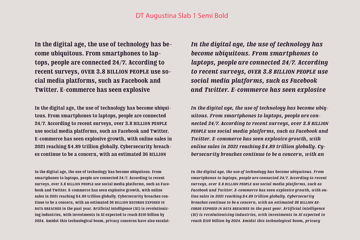 DT Augustina Slab 1 Subfamily, a Slab Serif Font by Deveze Type Foundry (Photo 12 of 31)