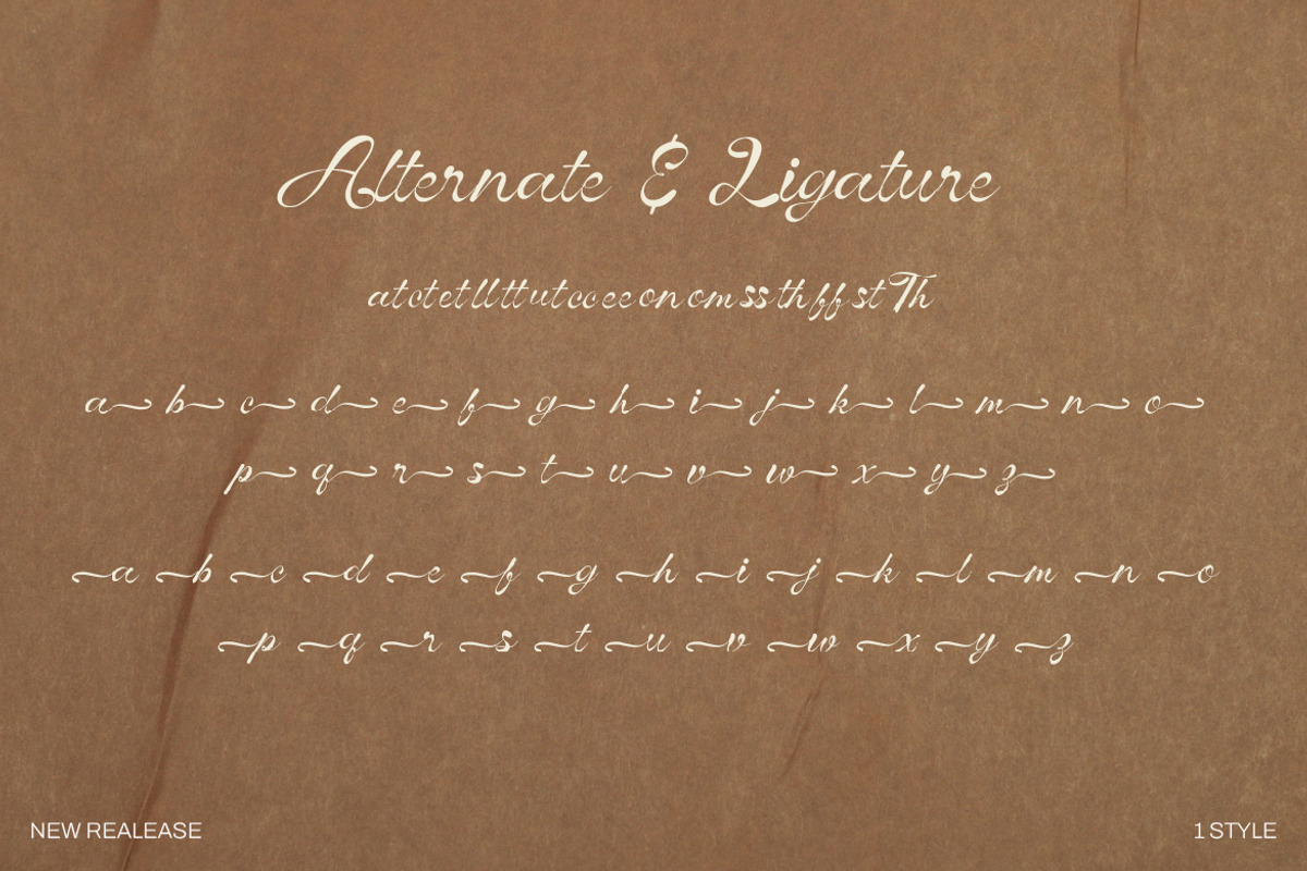 Vinecta - Retro Script Font, a Script Font by Dhabee (Photo 2 of 16)