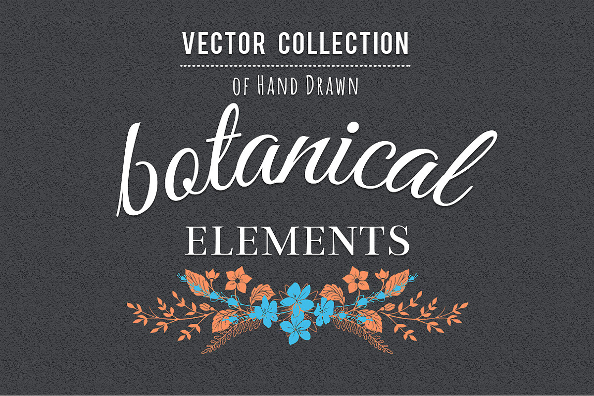 Botanical Decorative Elements, a Decorative Illustration by Solana (Photo 5 of 6)