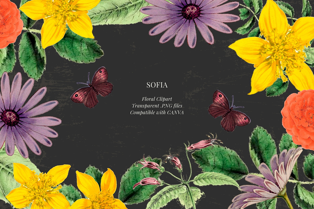 Antique flowers illustrations, an Illustration by AS Studio (Photo 7 of 8)