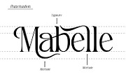 Howlistia - Modern Serif Font, a Serif Font by Rishsketch (Thumbnail 7 of 15)