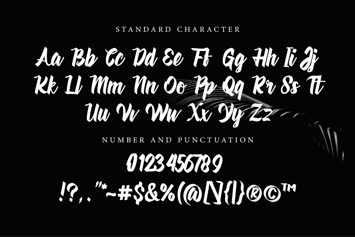 Velocitta - Script Typeface, a Font by Gumrega Studio (Photo 5 of 6)