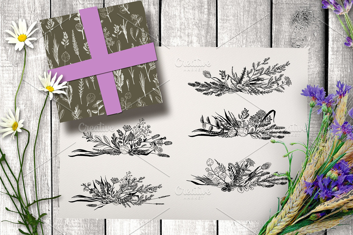 Wild field herbs. Botanical set., a Healthcare Illustration by Alena Kaz (Photo 8 of 12)