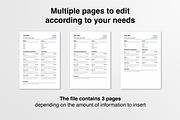 Curriculum Vitae Template, a Presentation Template by Guillaume Laserson (Thumbnail 2 of 4)