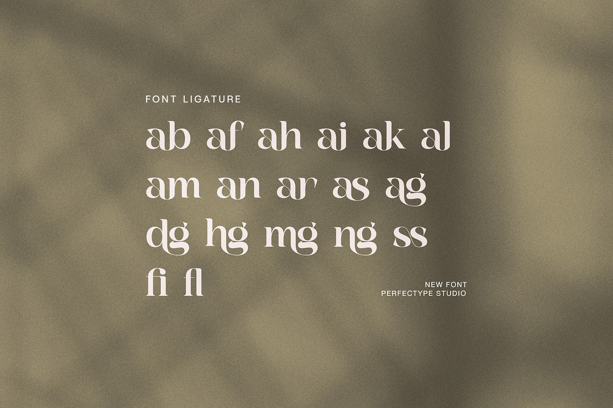 Bagila Elegant Serif Font, a Serif Font by Perfectype (Photo 8 of 8)