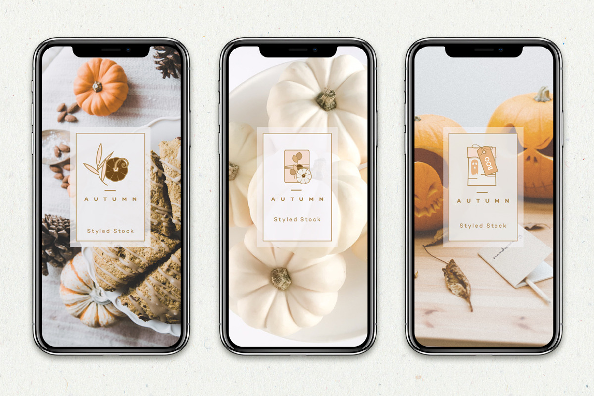 Charming Fall Icons, an Icon by Polar Vectors (Photo 11 of 12)