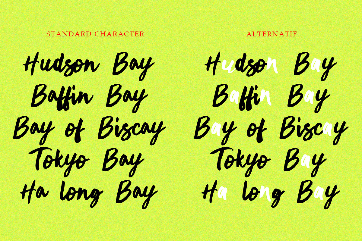 Montay, a Handwritten Font by Gatype (Photo 5 of 9)