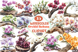 Exclusive Orchid Ikebana on Driftwoo, an Illustration by DreamCafeArt