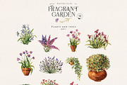 Fragrant garden-great watercolor set, a Decorative Illustration by Pamyatka Shop (Thumbnail 8 of 24)