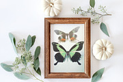 Fall Frame V1 Mock Up, a Print Template by SunnyTangerine Stock (Thumbnail 2 of 2)