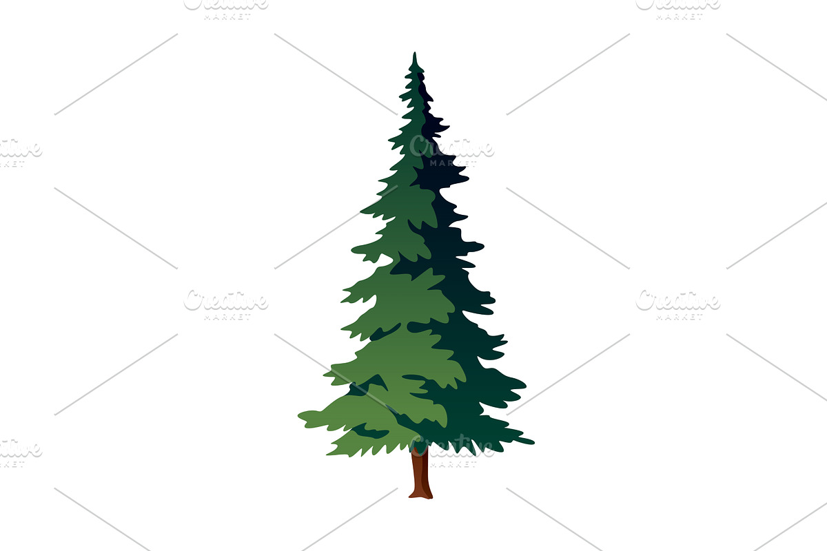 A cartoon illustration of a pine, an Illustration by the8monkey