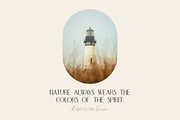 Artisa elegant font, a Sans Serif Font by elvinova (Thumbnail 6 of 14)