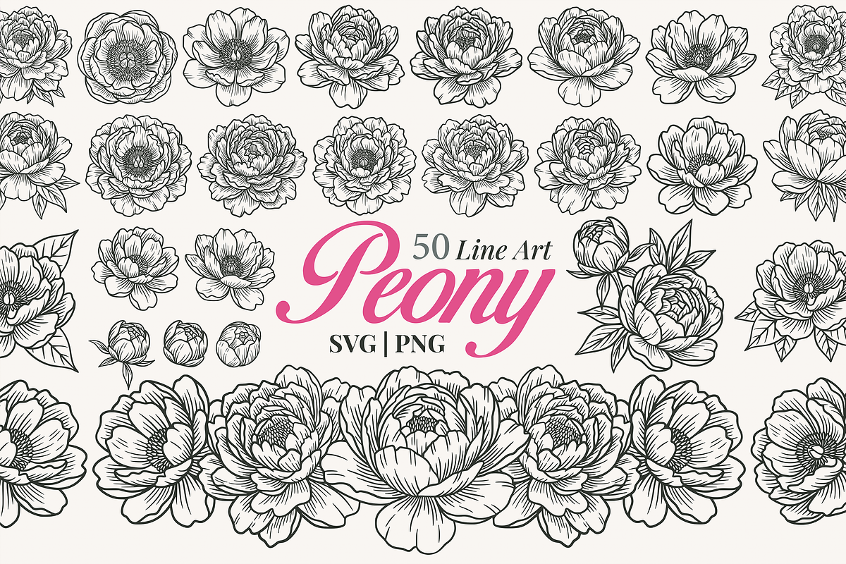 Peony Flower Line Art Illustration, a Decorative Illustration by Kusumaillustration (Photo 1 of 15)