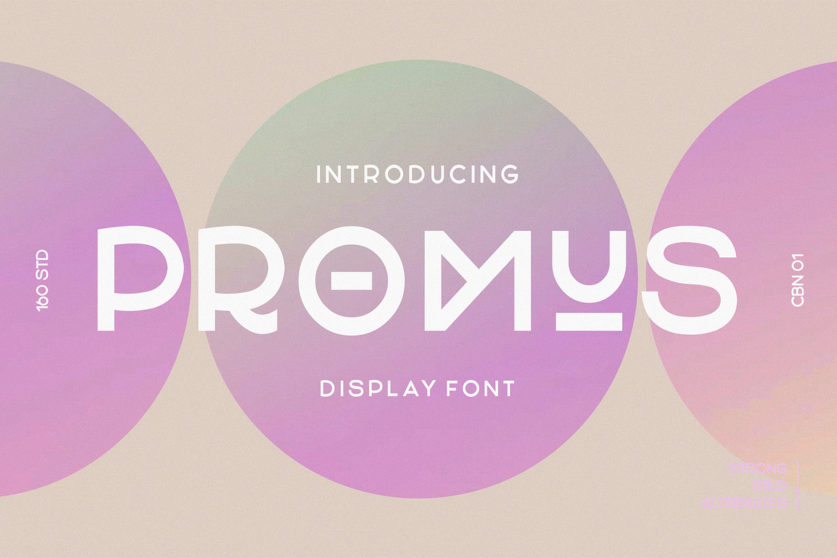 Promus Display Font, a Sans Serif Font by 160 Studio (Photo 1 of 10)