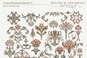 Botanical ornaments Art Nouveau, a Pattern Graphic by Collection by VY (Thumbnail 5 of 9)