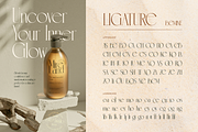 Bemine, a Serif Font by Burntilldead (Thumbnail 6 of 12)