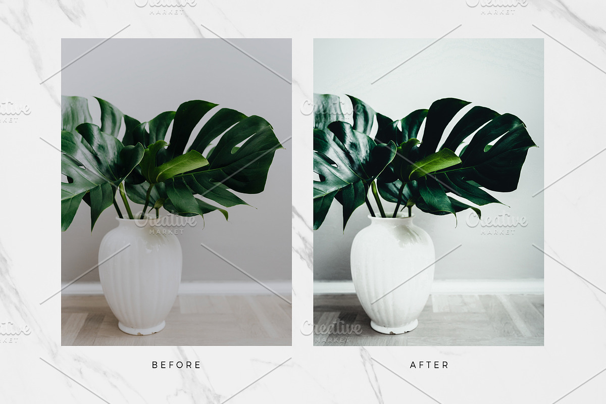 10 Botanical Lightroom Presets preview 2