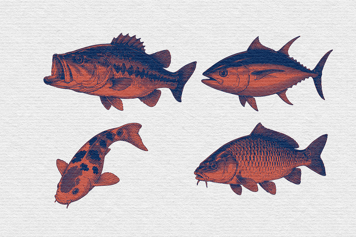 Vintage Fish Engraving, an Animal Illustration by Kaizla03 (Photo 3 of 7)